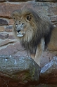 Kids_FWZoo_12-2013 (21)